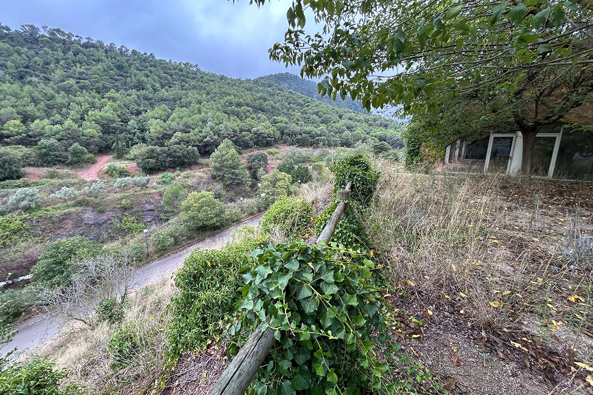 collcardus-galeria-10