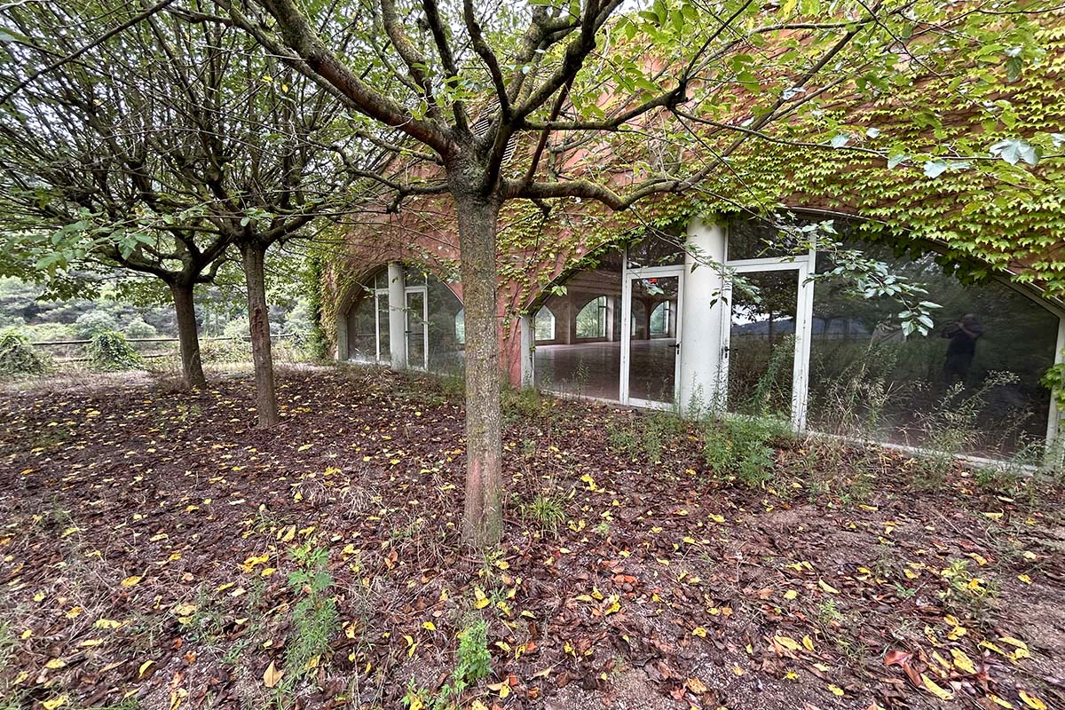 collcardus-galeria-11