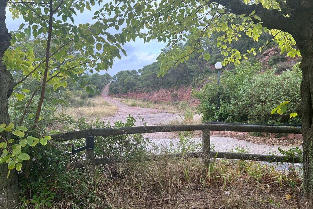 collcardus-galeria-3
