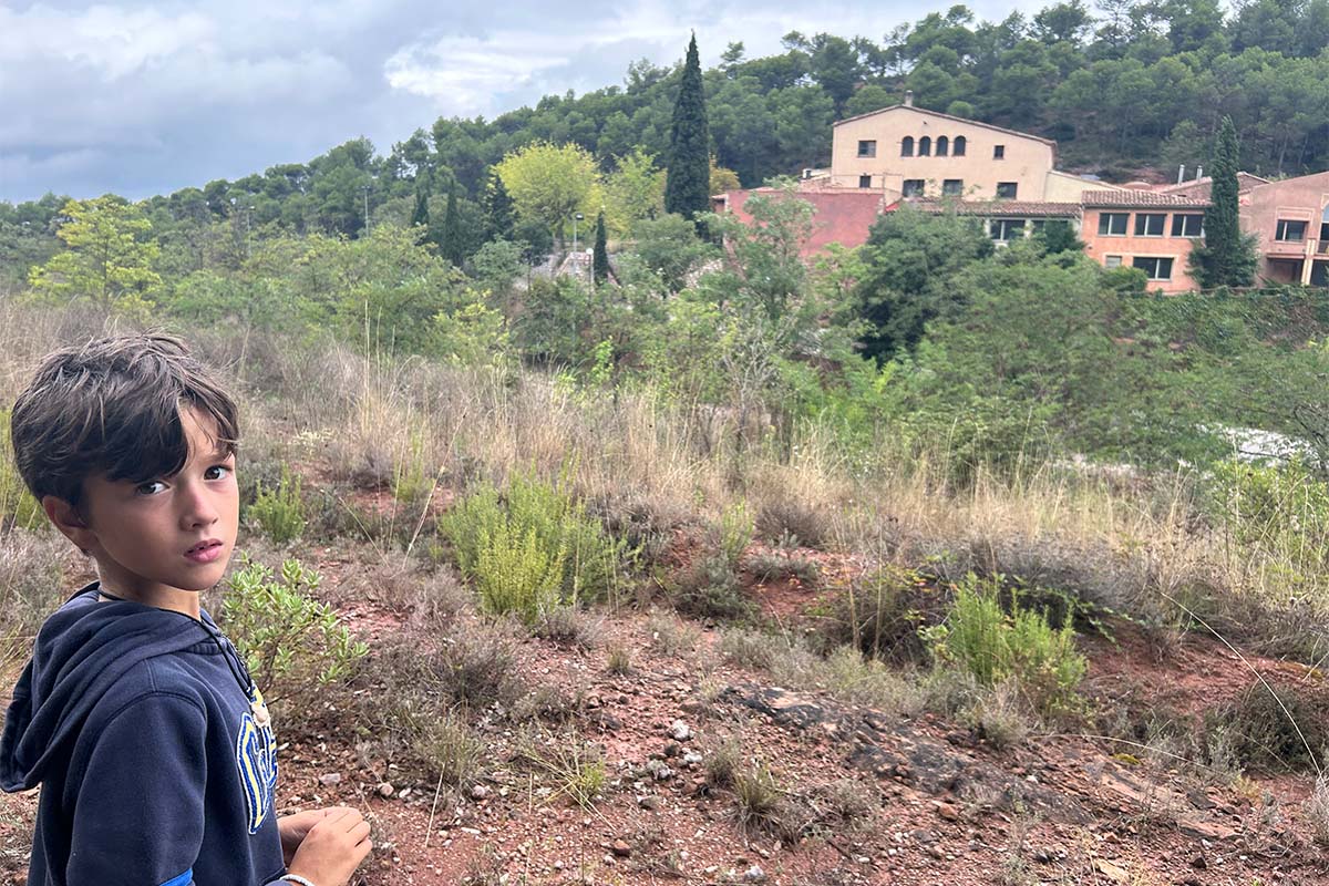 collcardus-galeria-4