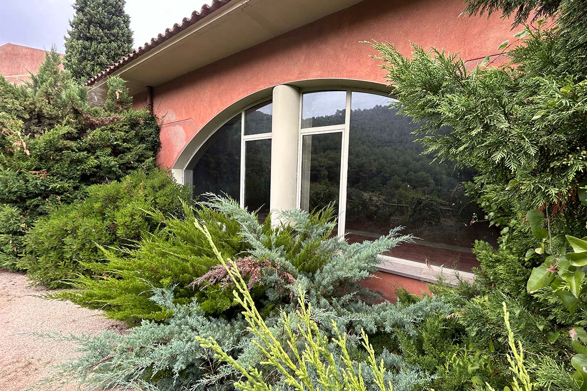 collcardus-galeria-9