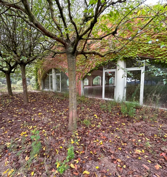 escola creativa barcelona