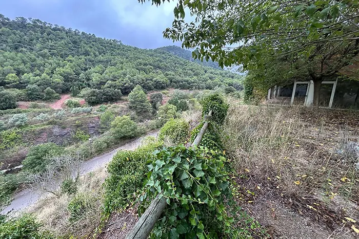 entorn natural escola